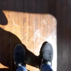 Panoramawagen in Bewegtbild😉