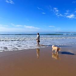 Das Meer(wieder) und Axel(immer noch) ganz gechillt😊