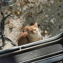 Was mag sie wollen. Schnell das Fliegengitter zugemacht, bevor sie rein kommt.