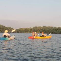 Kayaktour durch die Mangroven