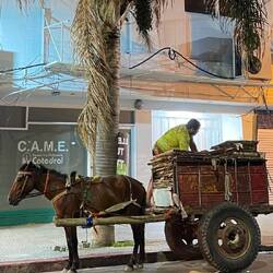 Das Sammeln von Kartonagen bringt Geld.