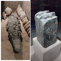 The Crocodile Museum