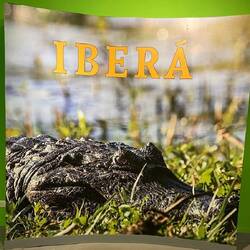 Es gibt dort aber nicht nur Kaimane!