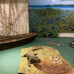 Im Info-Zentrum für die Esteros de Iberá