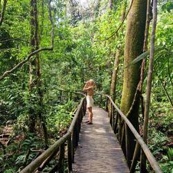 Mit dem Fernglas beobachten wir die vielen Tiere im Manuel Antonio Nationalpark