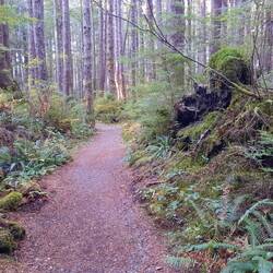 Hike to third beach