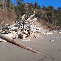 La push - third beach