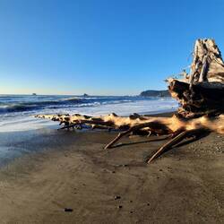 Rialto Beach
