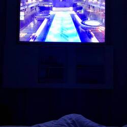 Der Pool ruft