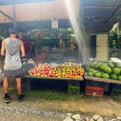 Frühstücks-Shopping am Straßenrand