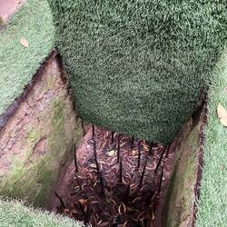 Heimtückische Fallen