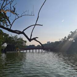 Ganz schön mit der Brücke