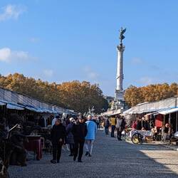 Amazing antique shops that go for miles