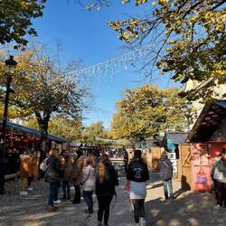 Christmas Markets in Bordeaux. We had roasted chestnuts!