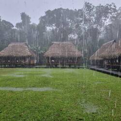 Manchmal regnet es auch ein bisschen 🌧