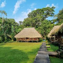 Unsere kleine Dschungellodge 🛖