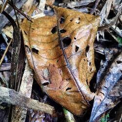 Na, was versteckt sich hier? 🤔