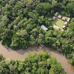 Vier Tage im Amazonas-Regenwald 🌿