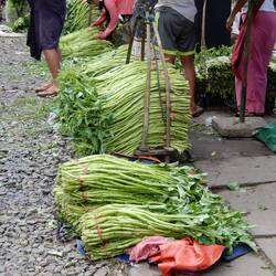 Scenes from Daryingon.