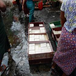 Scenes from Daryingon market - tofu for sale.