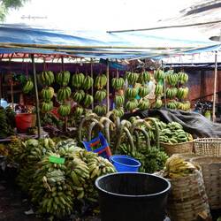 Scenes from Daryingon market.