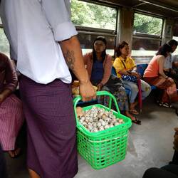 Scenes from the ride on the Yangon Circular Railway - hard boiled quail eggs for sale.