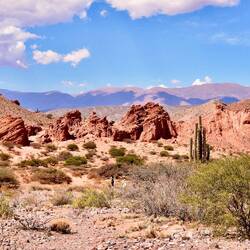 ... haben es leider nicht gefunden.