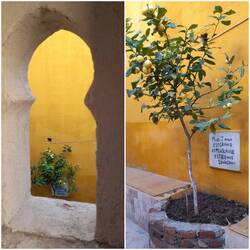 Beim alten Hamam und Holzbackofen