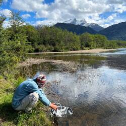 Our new water purifier