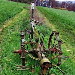 Ende November nochmal frisch gemäht!