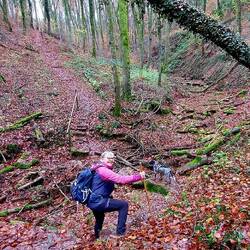 Im tollen Tal vom Girsterbach!