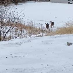 Saw these beauties on the drive out
