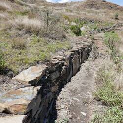 Aufstieg über die Baumgrenze...