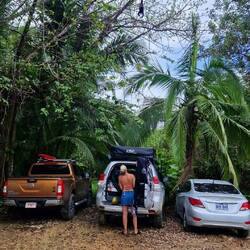 Affen begutachten uns