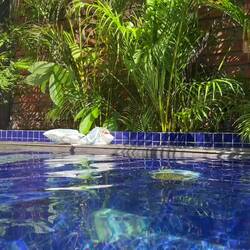 Wird immer besser, auch über Wasser!