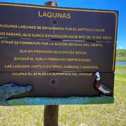 Hier hat der Alligator uns gesehen - wir aber ihn nicht!