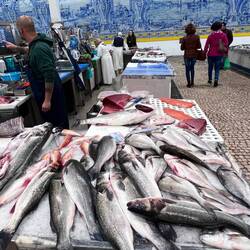 Fischers Fritze fischt frische Fische
