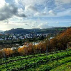 Blick auf Langsur an der Sauerschleife!