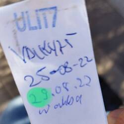 Der 29. Tag und der erste Geocache