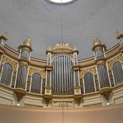 𝑶𝒓𝒈𝒂𝒏𝒐 𝑪𝒂𝒕𝒕𝒆𝒅𝒓𝒂𝒍𝒆 𝒍𝒖𝒕𝒆𝒓𝒂𝒏𝒂 𝒅𝒊 𝑯𝒆𝒍𝒔𝒊𝒏𝒌𝒊