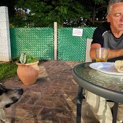 Nein, es gibt nichts vom Tisch!