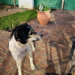 Der Badeanzug-Freund wartet geduldig.