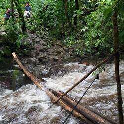 A "bridge" to cross a river