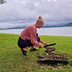 Kokosnuss zum Dinner