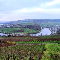 Auch hier hat die Mosel tolle Schleifen!