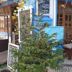 Nur noch 25 Tage bis Weihnachten 🎄