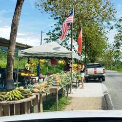 Ganz in meinem Element:)