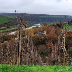 Immer wieder schöne Blicke auf die Mosel!