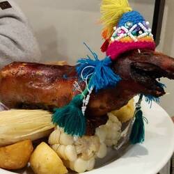 Degusatation de cochon d'Inde