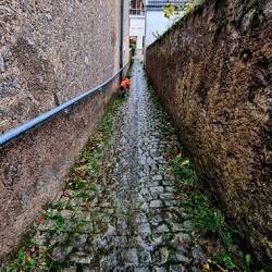 Eigentlich kein Bach, sondern der Wanderweg!